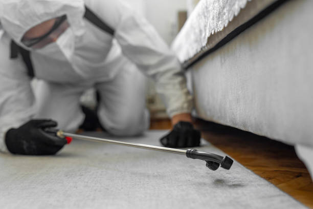 Professional Bed Bug Control technician working in Clark Mills, NY